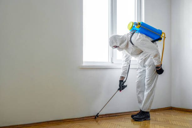 Best Termite Inspection and Treatment  in Worthgton, IN